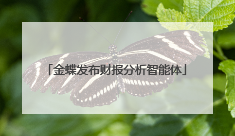 金蝶发布财报分析智能体
