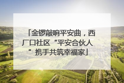 金锣敲响平安曲，西厂口社区“平安合伙人”携手共筑幸福家