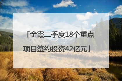 金霞二季度18个重点项目签约投资42亿元