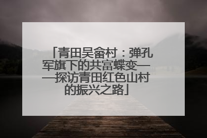 青田吴畲村：弹孔军旗下的共富蝶变——探访青田红色山村的振兴之路