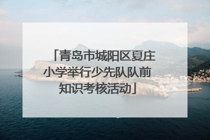 青岛市城阳区夏庄小学举行少先队队前知识考核活动
