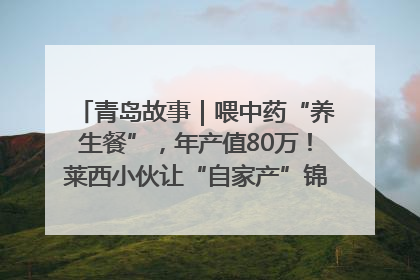 青岛故事｜喂中药“养生餐”，年产值80万！莱西小伙让“自家产”锦鲤“游”向全国