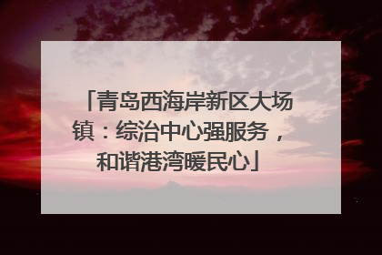 青岛西海岸新区大场镇：综治中心强服务，和谐港湾暖民心