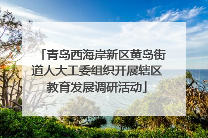 青岛西海岸新区黄岛街道人大工委组织开展辖区教育发展调研活动