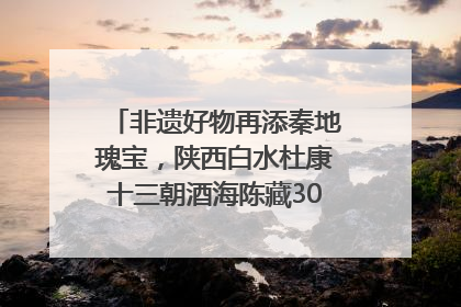 非遗好物再添秦地瑰宝，陕西白水杜康十三朝酒海陈藏30年别具一格