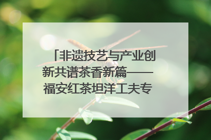 非遗技艺与产业创新共谱茶香新篇——福安红茶坦洋工夫专场推介会在京举办