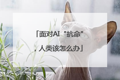 面对AI“抗命”，人类该怎么办