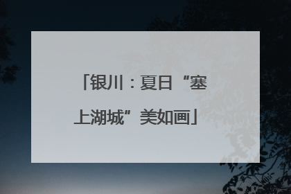 银川：夏日“塞上湖城”美如画