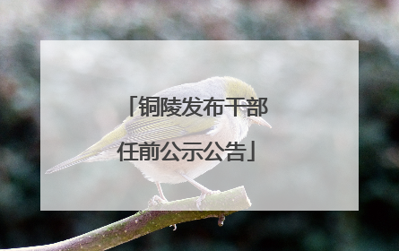 铜陵发布干部任前公示公告