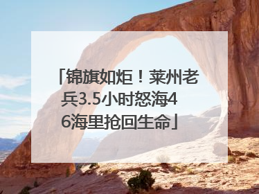 锦旗如炬！莱州老兵3.5小时怒海46海里抢回生命