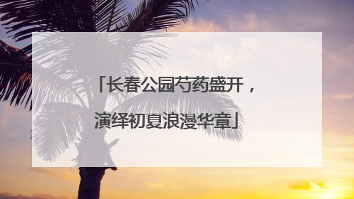 长春公园芍药盛开，演绎初夏浪漫华章