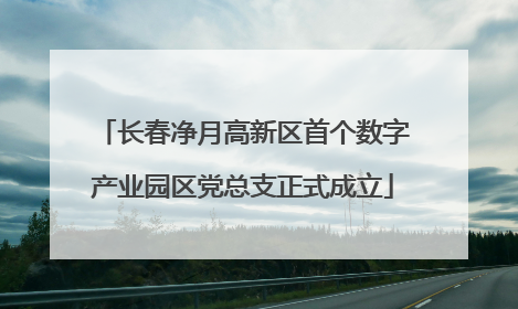 长春净月高新区首个数字产业园区党总支正式成立
