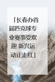 长春办首届匹克球专业赛事受欢迎 新兴运动正走红