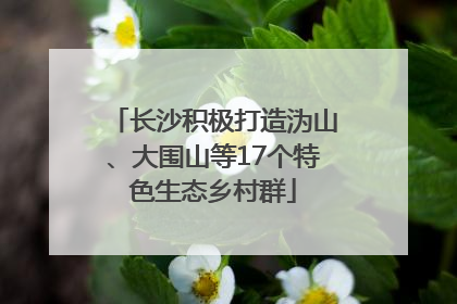 长沙积极打造沩山、大围山等17个特色生态乡村群