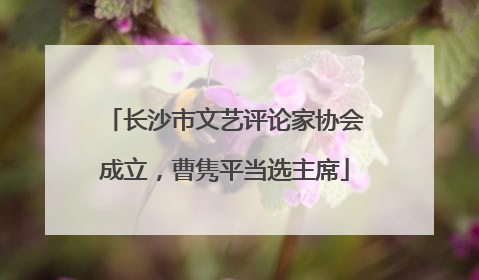 长沙市文艺评论家协会成立，曹隽平当选主席