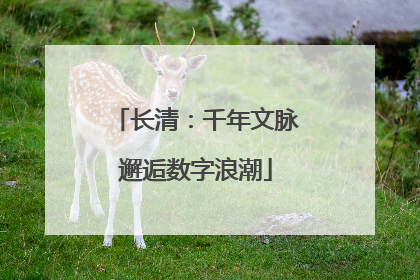 长清：千年文脉邂逅数字浪潮