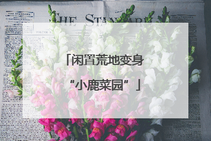 闲置荒地变身“小鹿菜园”