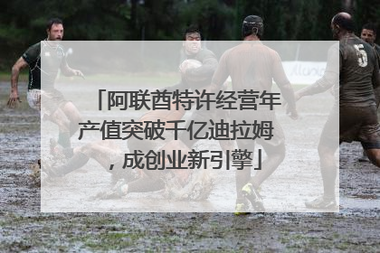 阿联酋特许经营年产值突破千亿迪拉姆，成创业新引擎
