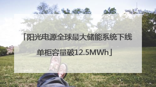 阳光电源全球最大储能系统下线 单柜容量破12.5MWh