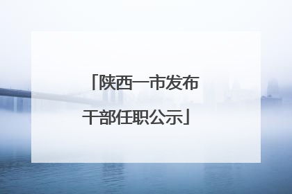 陕西一市发布干部任职公示