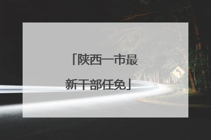 陕西一市最新干部任免