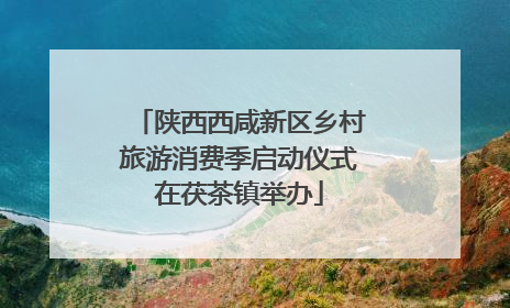 陕西西咸新区乡村旅游消费季启动仪式在茯茶镇举办