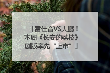 雷佳音VS大鹏！本周《长安的荔枝》剧版率先“上市”