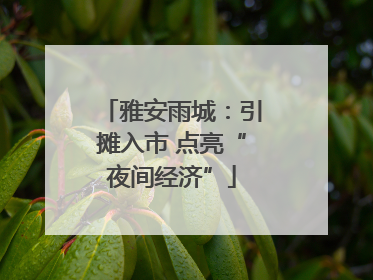 雅安雨城：引摊入市 点亮“夜间经济”