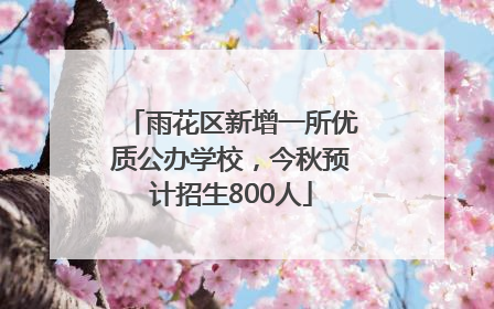 雨花区新增一所优质公办学校，今秋预计招生800人