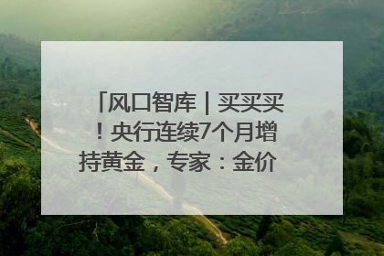 风口智库｜买买买！央行连续7个月增持黄金，专家：金价或仍易涨难跌