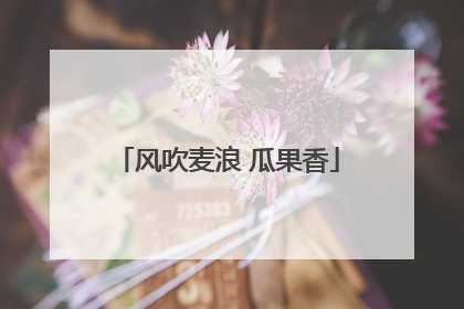 风吹麦浪 瓜果香
