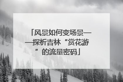 风景如何变场景——探析吉林“赏花游”的流量密码