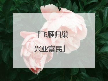 飞雁归巢 兴业富民