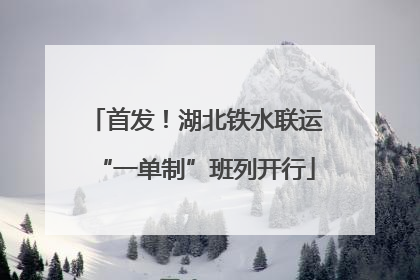 首发！湖北铁水联运“一单制”班列开行