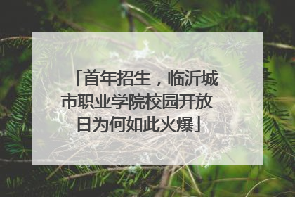 首年招生，临沂城市职业学院校园开放日为何如此火爆