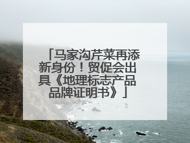 马家沟芹菜再添新身份！贸促会出具《地理标志产品品牌证明书》