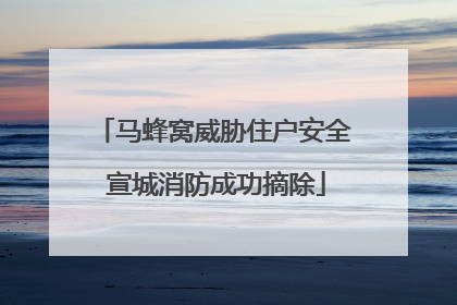 马蜂窝威胁住户安全 宣城消防成功摘除