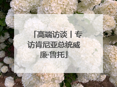 高端访谈丨专访肯尼亚总统威廉·鲁托