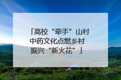 高校“牵手”山村 中药文化点燃乡村振兴“新火花”