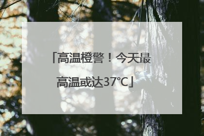 高温橙警！今天最高温或达37℃
