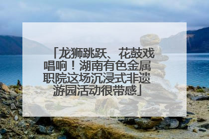 龙狮跳跃、花鼓戏唱响！湖南有色金属职院这场沉浸式非遗游园活动很带感