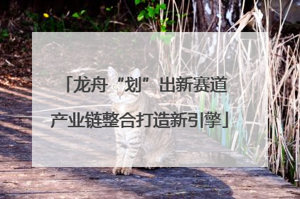 龙舟“划”出新赛道 产业链整合打造新引擎