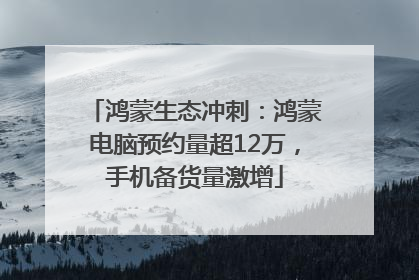 鸿蒙生态冲刺：鸿蒙电脑预约量超12万，手机备货量激增