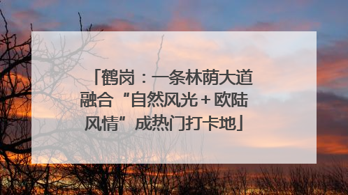 鹤岗：一条林荫大道融合“自然风光＋欧陆风情”成热门打卡地