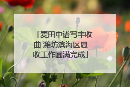 麦田中谱写丰收曲 潍坊滨海区夏收工作圆满完成