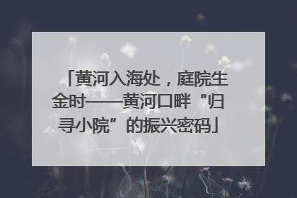 黄河入海处，庭院生金时——黄河口畔“归寻小院”的振兴密码