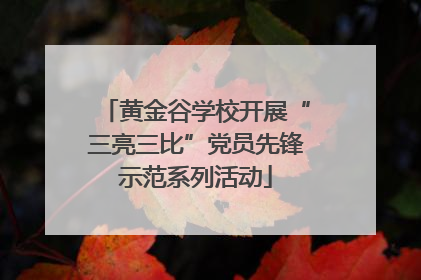 黄金谷学校开展“三亮三比”党员先锋示范系列活动