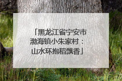 黑龙江省宁安市渤海镇小朱家村：山水环抱稻飘香