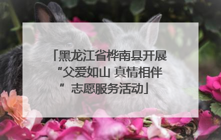 黑龙江省桦南县开展“父爱如山 真情相伴”志愿服务活动