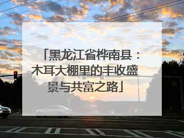 黑龙江省桦南县：木耳大棚里的丰收盛景与共富之路